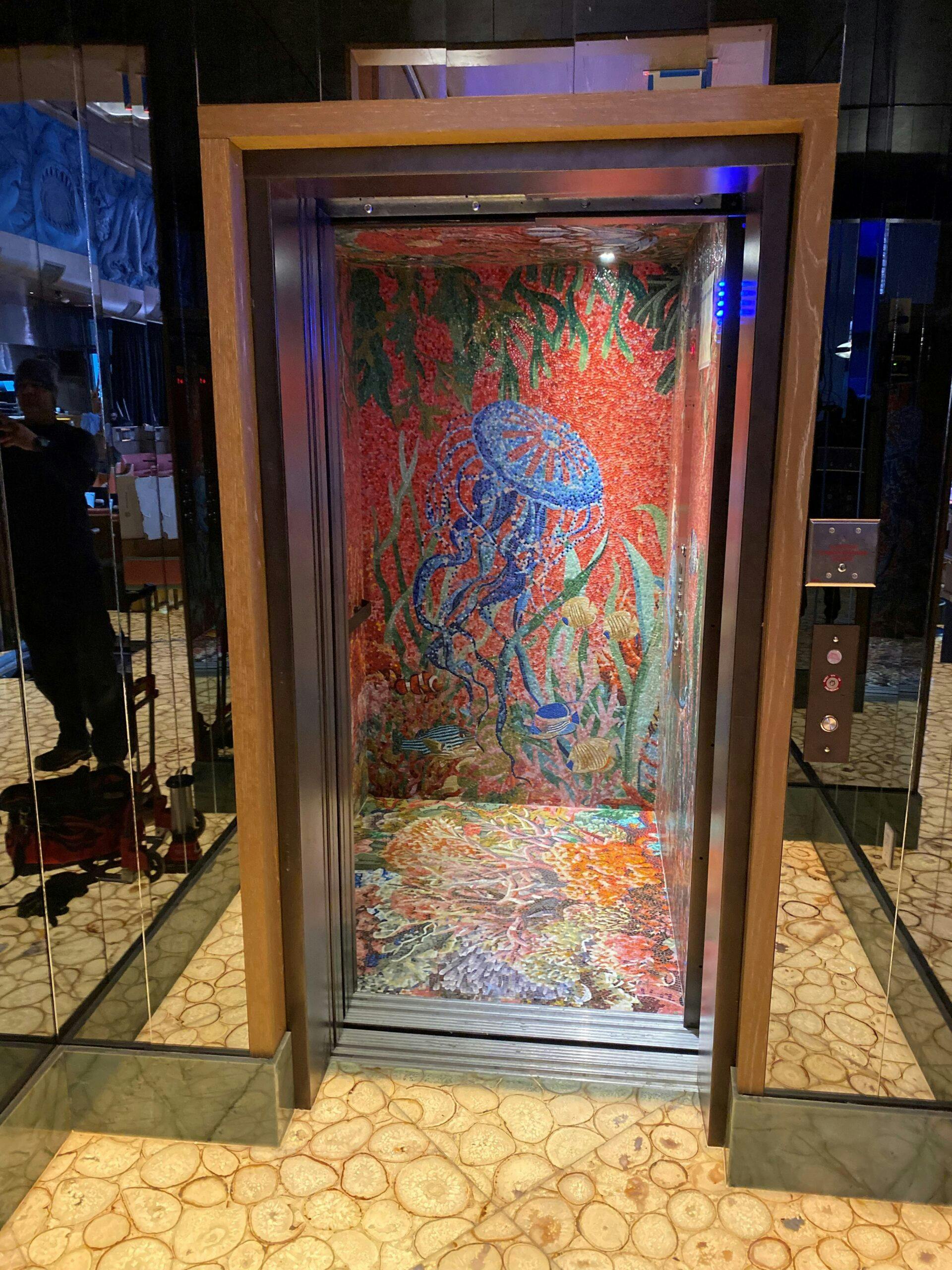 Customized LULA elevator